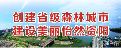 欧美干B网站创建省级森林城市 建设美丽怡然资阳